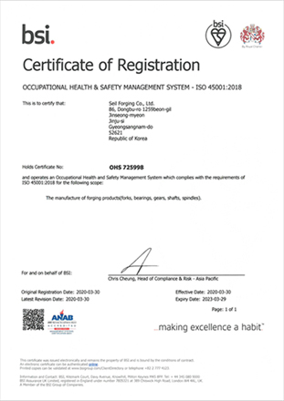 BSI Safety Certificate 