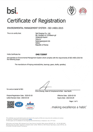 BSI Environment Certificate